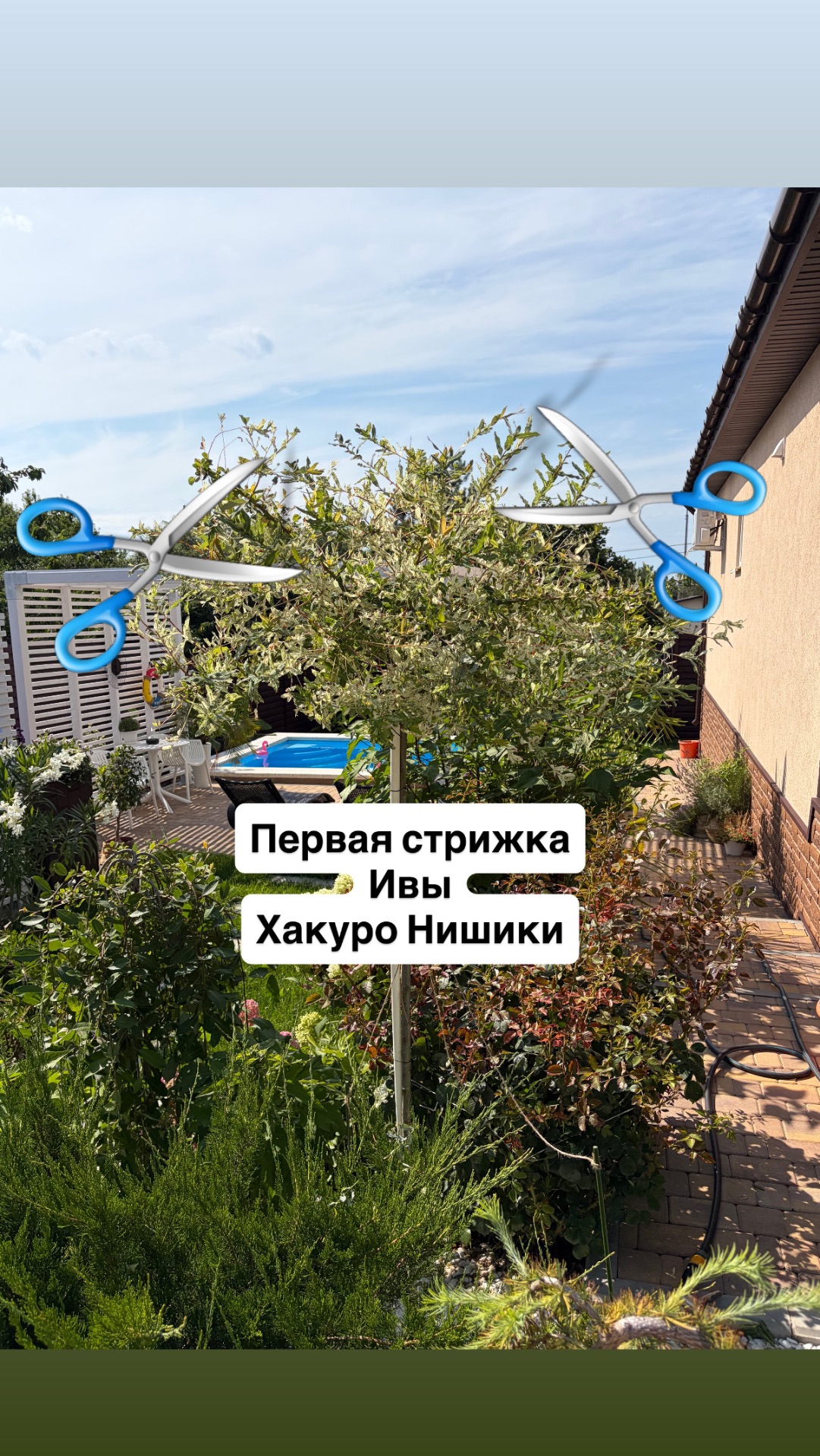 Первая обрезка Ивы Хакуро Нишики в южном саду смотреть онлайн