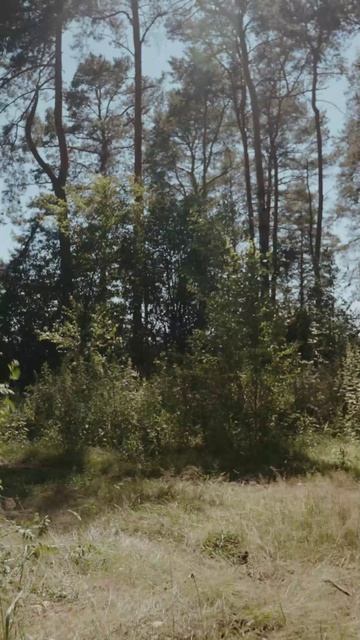 Динамика и бескомпромиссный характер — KAYO K2 PRO 300 ROAD