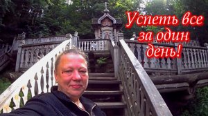 За грибами. Гремячий ключ. Парк Зазеркалье. Владимирская область. Александровский район.