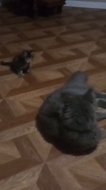 Малыш и его ребёночек