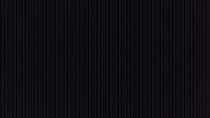 1000001806.mp4
