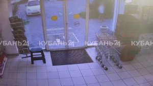 В Геленджике стая бездомных собак напала на ребенка возле магазина