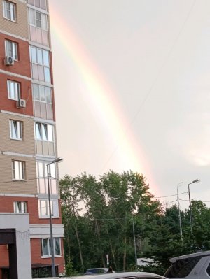 гендер пати