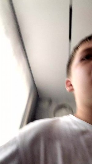 энимал хоспитал