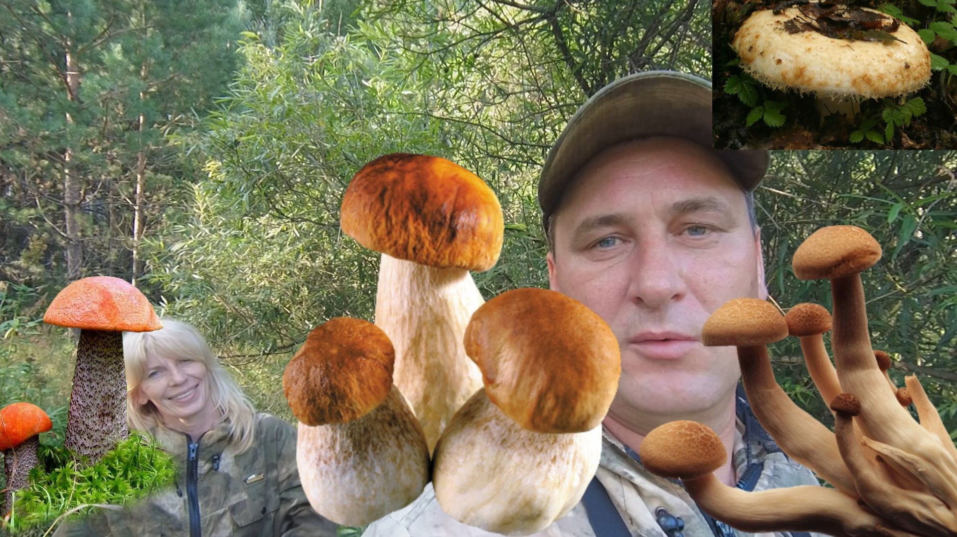 Ожидание на заставке, реальность на видео! Грибы 2026.