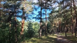 «Кухаркины дети». Полный просмотр поволит понять смысл видео
