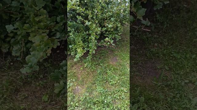 222.mp4 смотреть онлайн