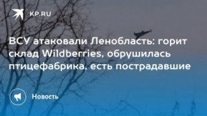 Пожары на складах Вайлдберриз в Ленобласти