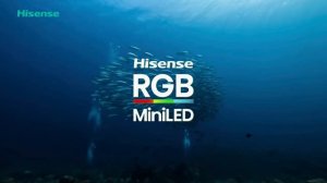 Оцените феерию цвета с RGB Mini LED телевизорами Hisense!
