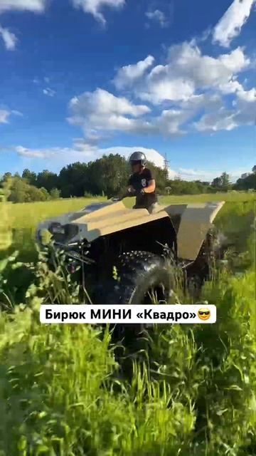 #болотоход #automobile #снегоход #вездеход #offroad #вездеходыбирюк