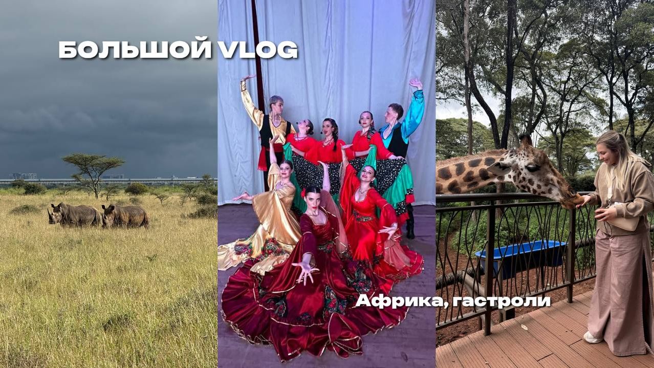 БОЛЬШОЙ VLOG: Африка, гастроли, сафари, местная еда, потеряла голос, концерты смотреть онлайн