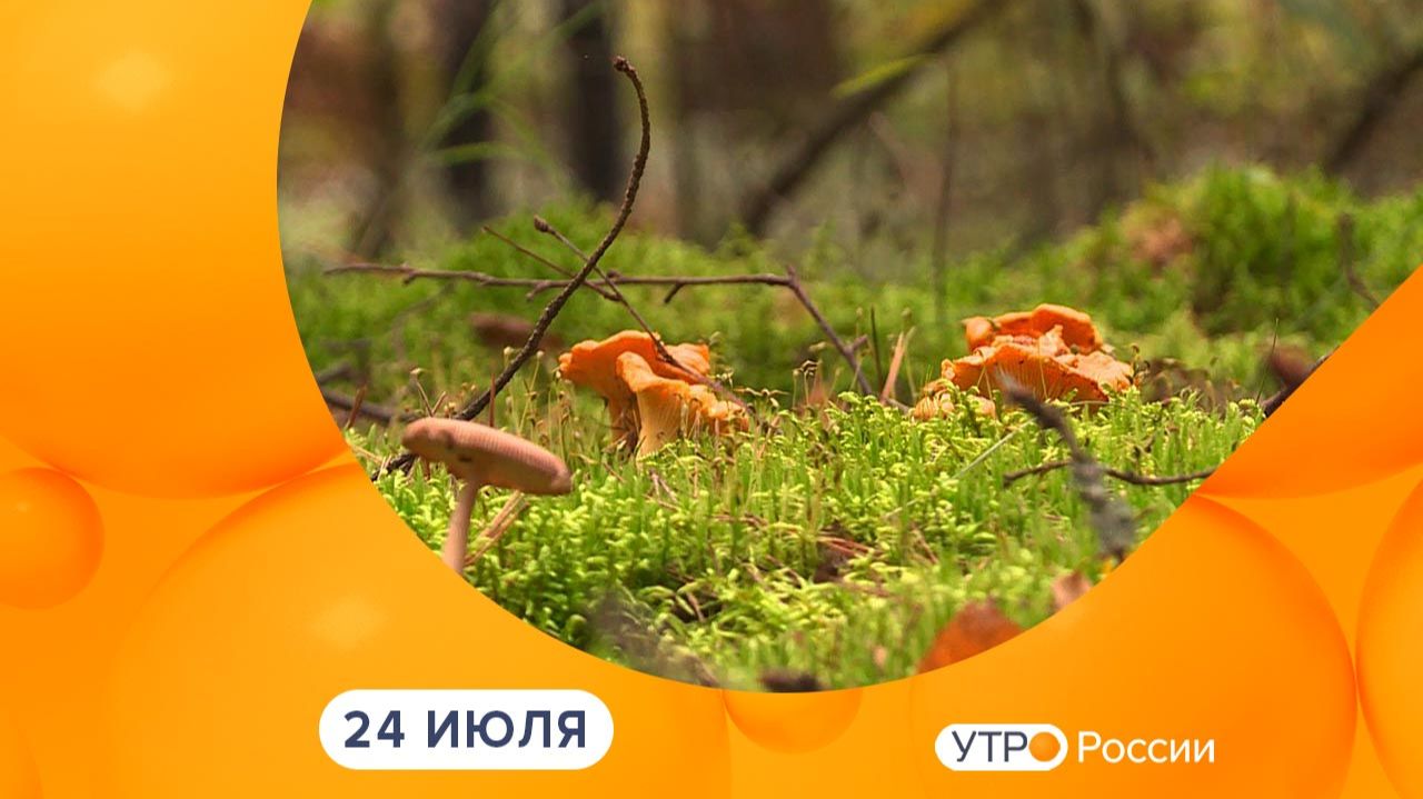 Утро России. Калуга (24.07.2026) смотреть онлайн