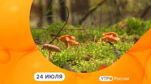 Утро России. Калуга (24.07.2026)