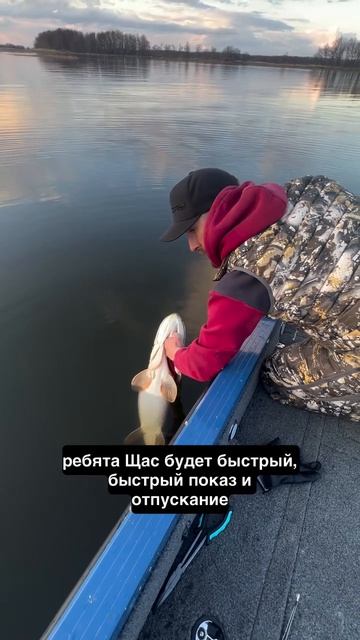 Вот это реальная щука-монстр! смотреть онлайн