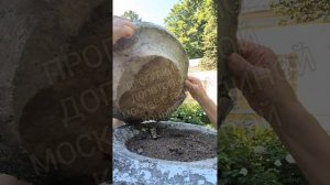 Тайны Братцево. Подвалы усадьбы. Тушино. Смута.