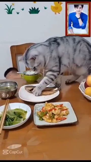 Прикольчики