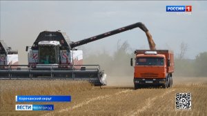 В Белгородской области стартовала уборочная кампания