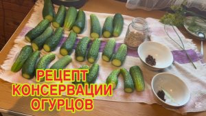 24/7 26  КОНСЕРВИРУЮ ОГУРЦЫ.