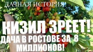ДАЧНАЯ ИСТОРИЯ! КИЗИЛ ЗРЕЕТ! ДАЧА В РОСТОВЕ ЗА 8 МИЛЛИОНОВ!