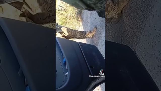 В Кривом Роге бус ТЦК опасно подрезал маршрутку на дороге, чтобы проверить документы у пассажиров. смотреть онлайн