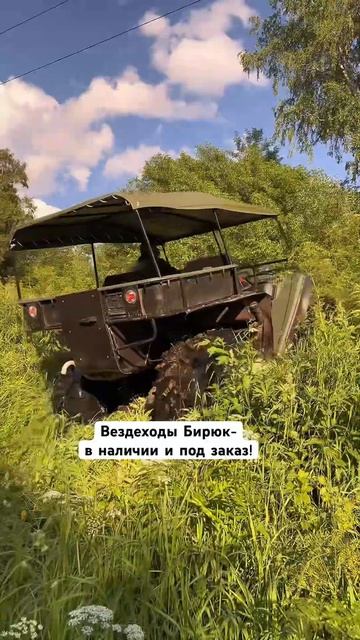 #болотоход #automobile #вездеход #offroad #вездеходыбирюк
