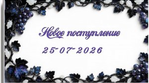 Новое поступление 25-07-2026