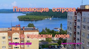 Плавающие острова на городском озере