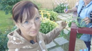 Видео привет с 6 соток 22 июля 2026 года
