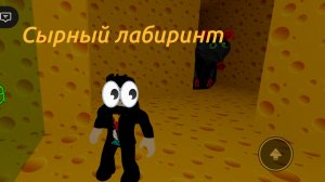 Сырный лабиринт