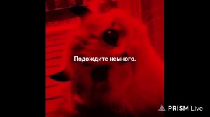 Роблокс эвейд