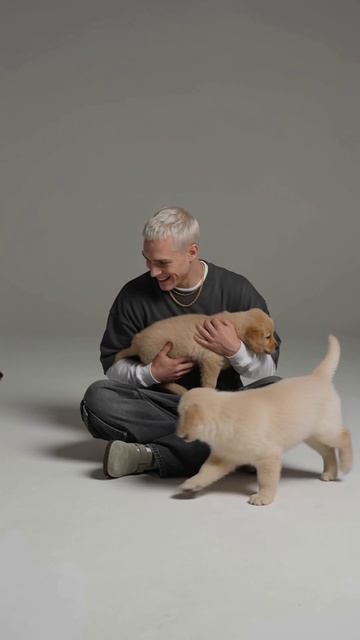 Кажется, сегодня у Кая появились новые фанаты. 🐶 Если бы пришлось выбирать, музыка или щенки…