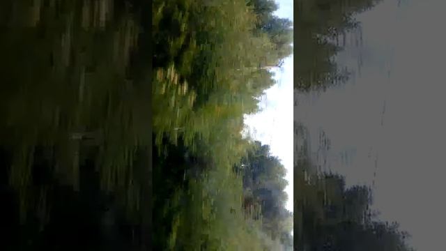 24-07-2026 смотреть онлайн