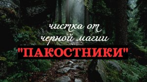 ОТ «ПАКОСТНИКОВ» ЧИСТКА-ОТЛИВКА