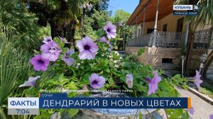 В сочинском дендрарии высадили более 27 тыс. декоративных растений и цветов