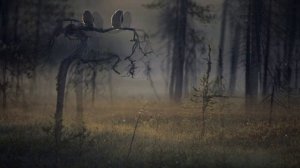 Гарантирует качество жизни