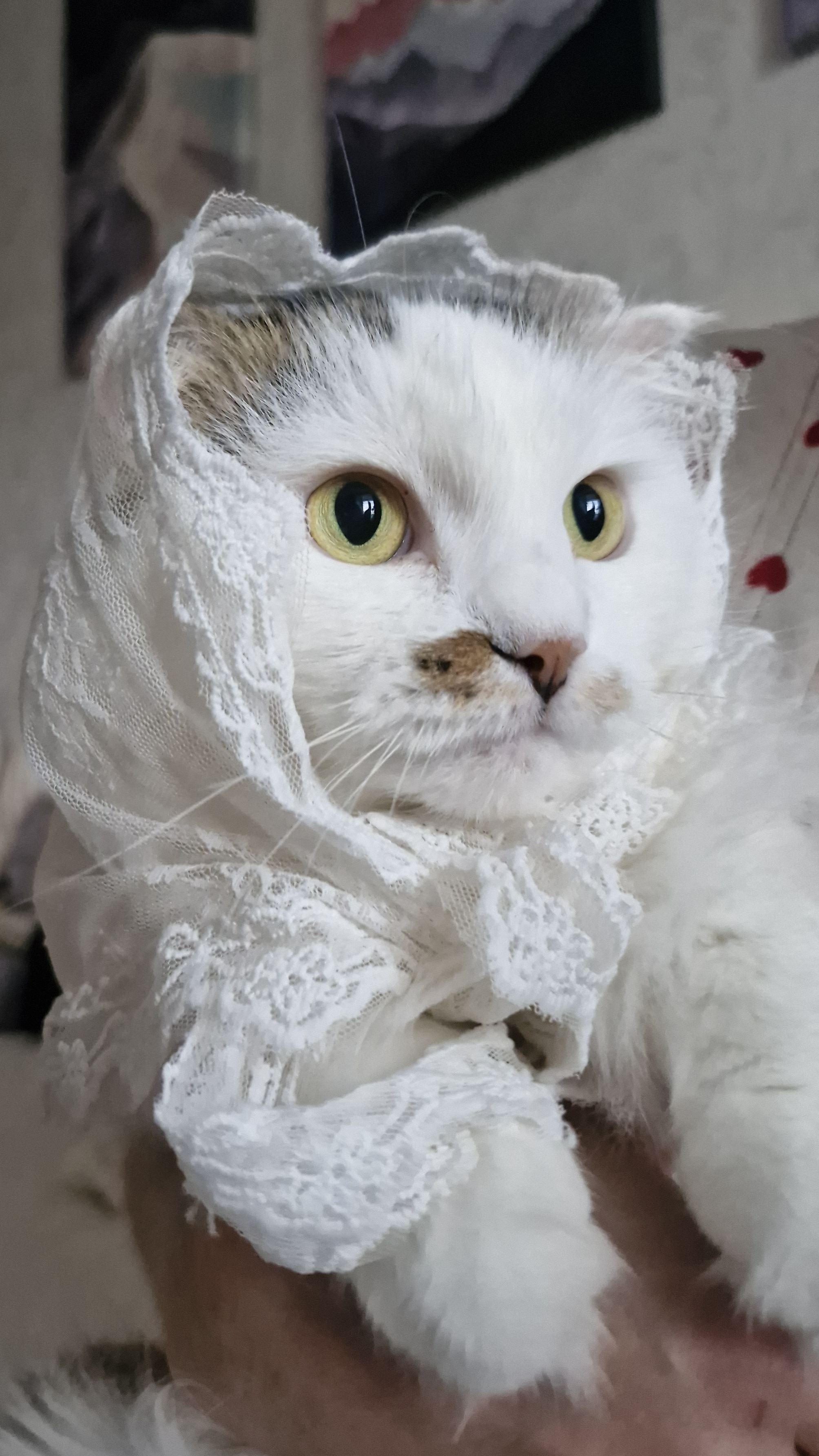 А вы кем мечтаете стать?🐱