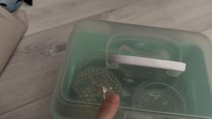 рабочий день с басиками