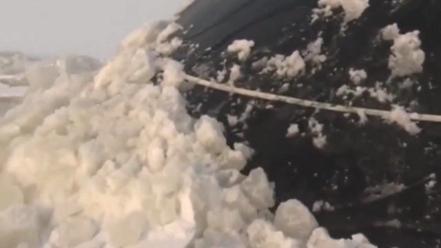 День ВМФ. Военно морской флот