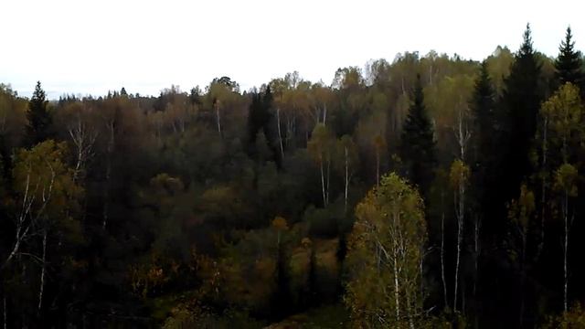 Личный архив видио.Бартымский виадук и Сарсинский в Октябрском районе Перм края 21.09.2024