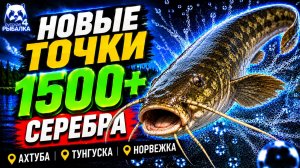 🤑 ТОП-4 ТОЧКИ ФАРМА РР4 (24.07)! СВОДКА по ВОДОЕМАМ РР4 Фарм СЕРЕБРА! АХТУБА • ТУНГУСКА • НОРВЕЖКА