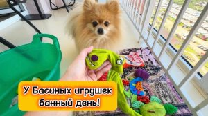 У Басиных игрушек банный день!