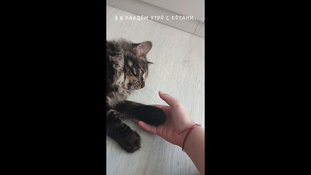самое длинное видео... ну шош смотрите с кайфом :3 