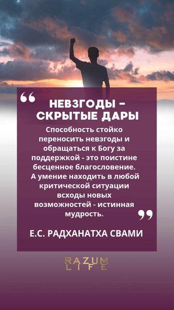 #цитатадня