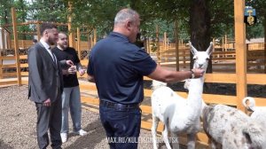 В Киевском районе города Донецк открылся парк альпак «Симба»