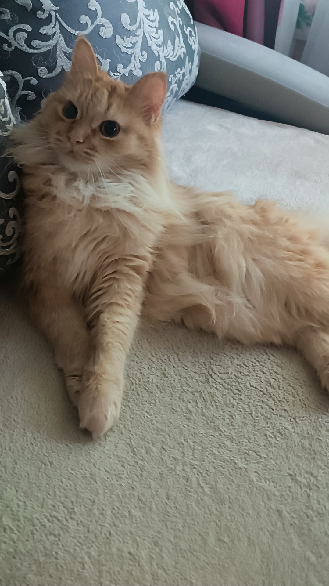 Соня 😻