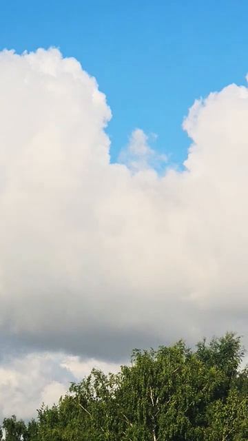 Утро 🌄 смотреть онлайн