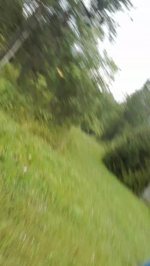 дача