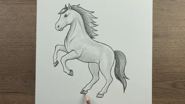 Как нарисовать лошадь — пошаговый простой урок рисования лошади карандашом смотреть онлайн