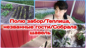 Полю забор/Теплица и не поняла чо происходит/Собрала щавель  Часть 3