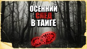 ОСЕННИЙ СЛЕД В ТАЙГЕ | РАССКАЗ